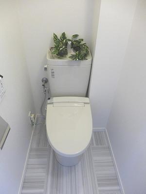 Toilet