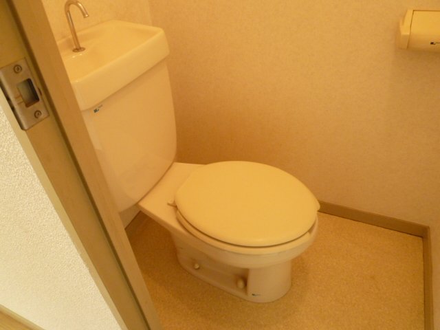 Toilet. It is a photograph of another room of the same type. 