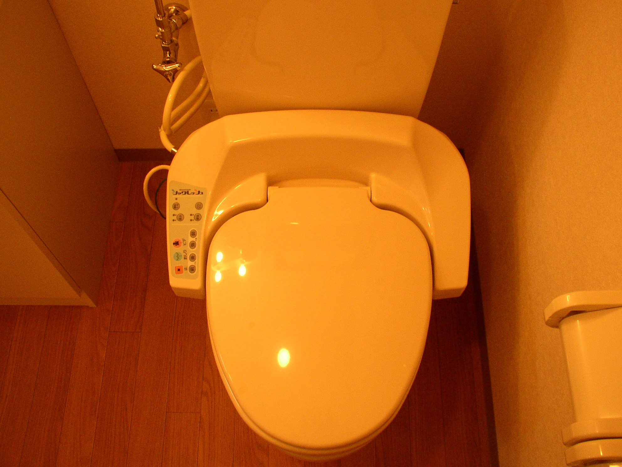 Toilet. It is a photograph of another room