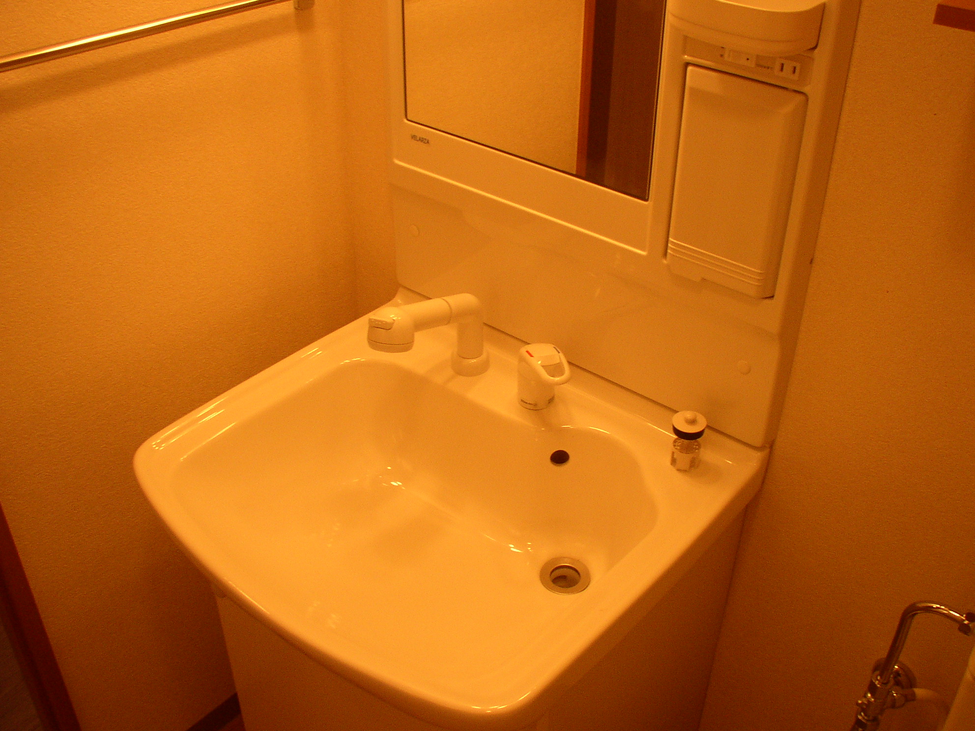 Washroom. It is a photograph of another room