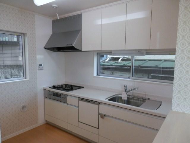 Kitchen. Local (11 May 2013) Shooting