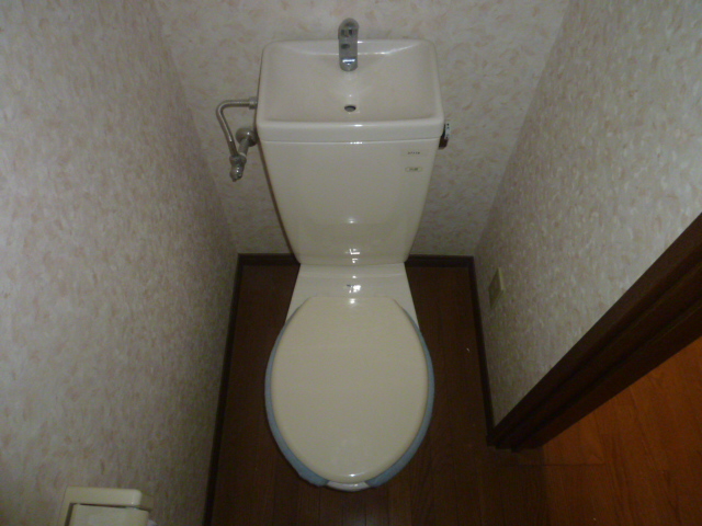 Toilet. It is a photograph of another room