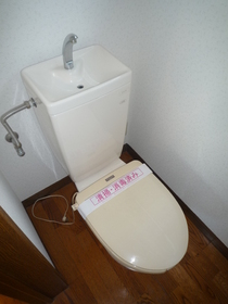 Toilet. Toilet