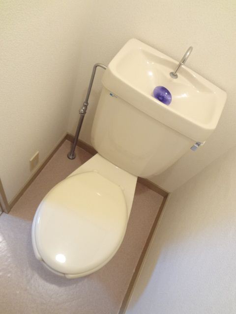 Toilet. Toilet with cleanliness