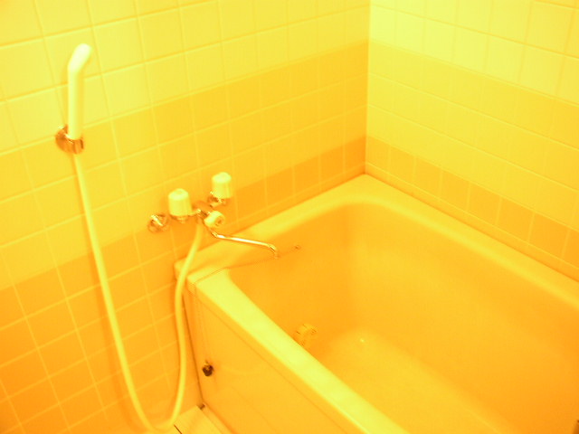 Bath. It is a photograph of another room