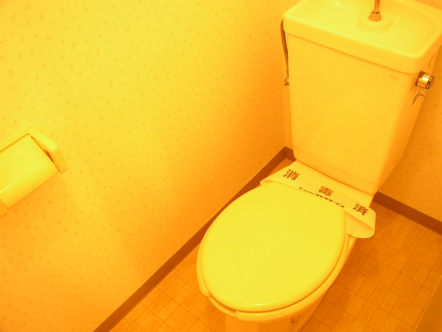 Toilet. It is a photograph of another room