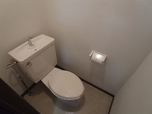 Toilet. Toilet