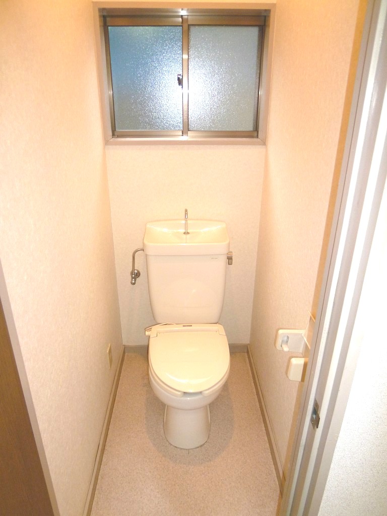 Toilet. Reference photograph