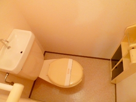 Toilet. Toilet with storage holder