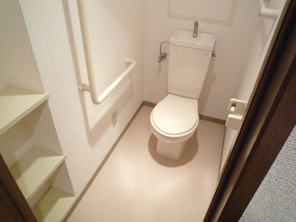 Toilet. Reference photograph