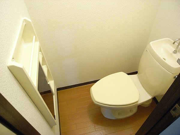 Other. Toilet