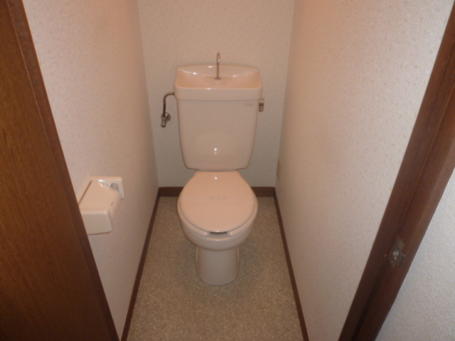 Toilet. It is a photograph of another room