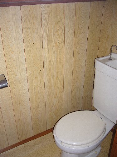 Toilet