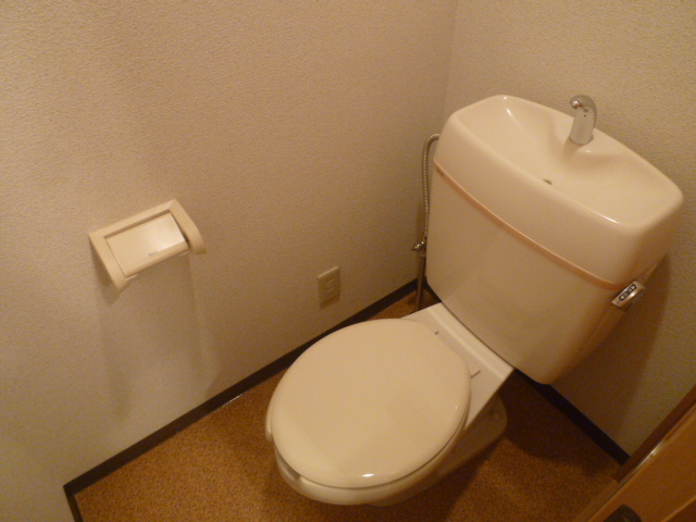 Toilet. Is the image of the other room