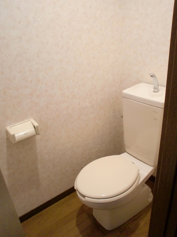 Toilet. Reference photograph