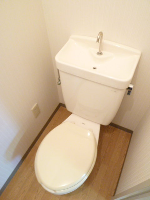 Toilet. It is a photograph of another room