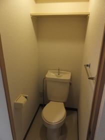Toilet. There is a shelf on top of the toilet.