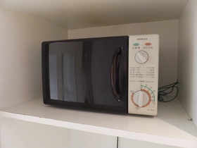 Other Equipment. Microwave is a service goods
