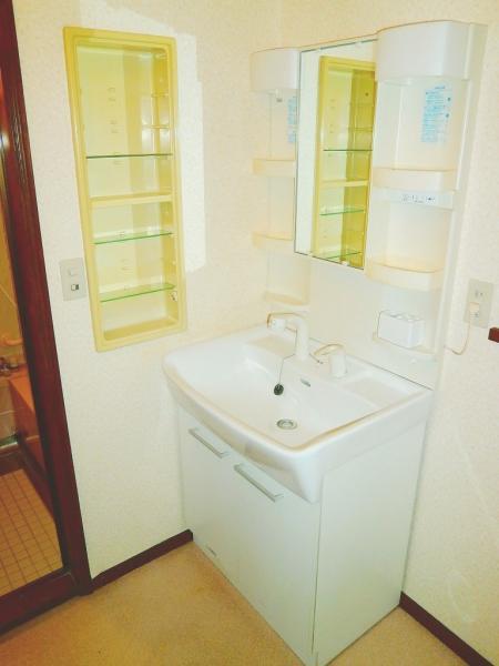 Wash basin, toilet. Vanity with happy shower feature in a busy morning