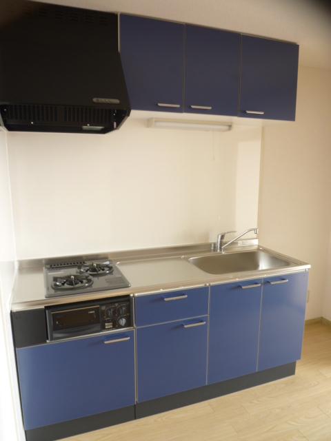 Kitchen. Two-burner gas stove with an installed grill