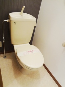 Toilet. Toilet