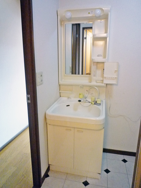 Washroom. Shampoo dresser