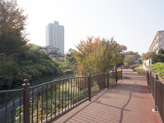 park. Kikyogahara to green space 80m