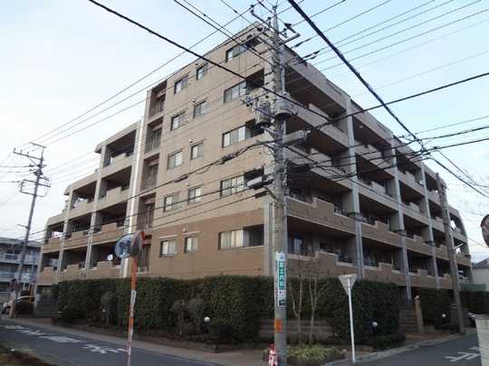 Local appearance photo. The appearance of the outer wall tiling