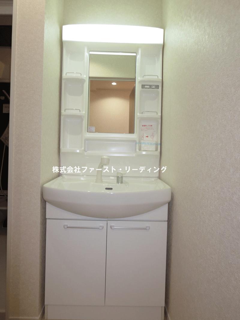 Wash basin, toilet. Is a handy shower dresser also in storage accessories! (December 6, 2013) Shooting