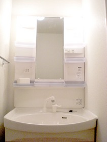 Washroom. Shampoo is vanity