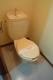 Toilet. Toilet