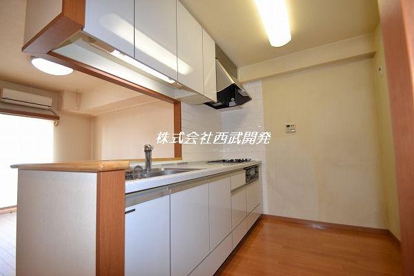 Kitchen. Indoor (10 May 2013) Shooting