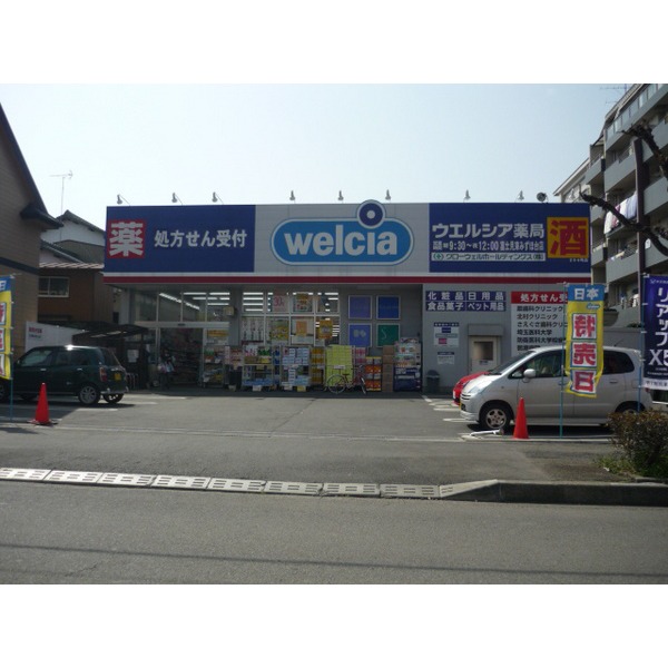 Dorakkusutoa. Drag Seimusu Higashimizuhodai shop 610m until (drugstore)