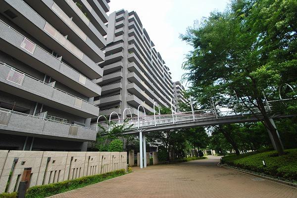 Local appearance photo. Local (July 2013) Shooting