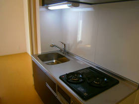 Kitchen. In two-burner stove with grill, Fun cooking