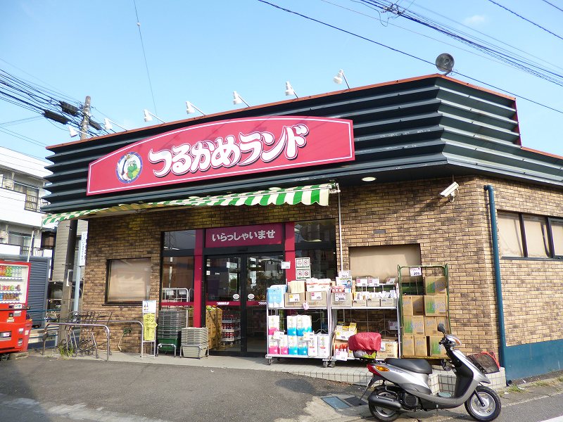 Supermarket. Tsurukame 555m to land (Super)