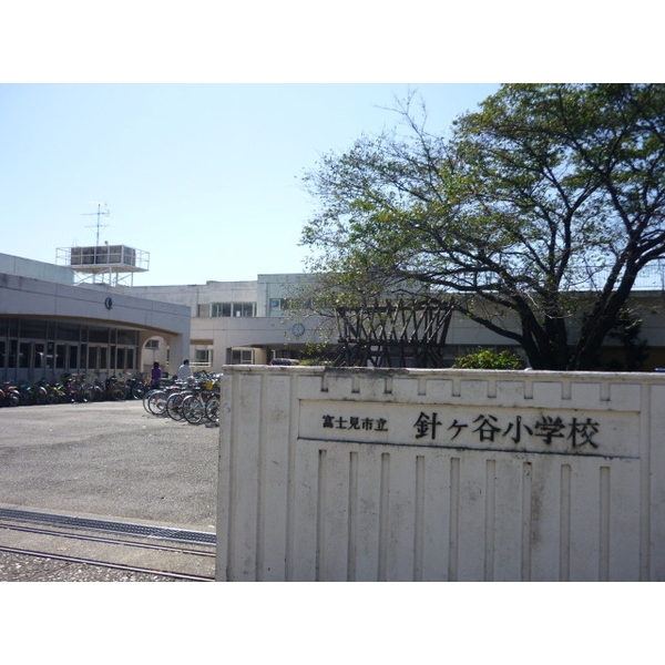 Other. Family Featured school district in front of the elementary school Hariketani eyes