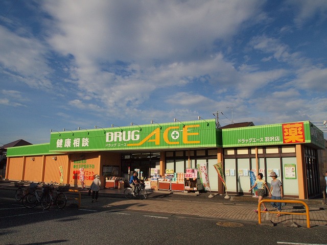 Dorakkusutoa. drag ・ Ace Hazawa shop 192m until (drugstore)