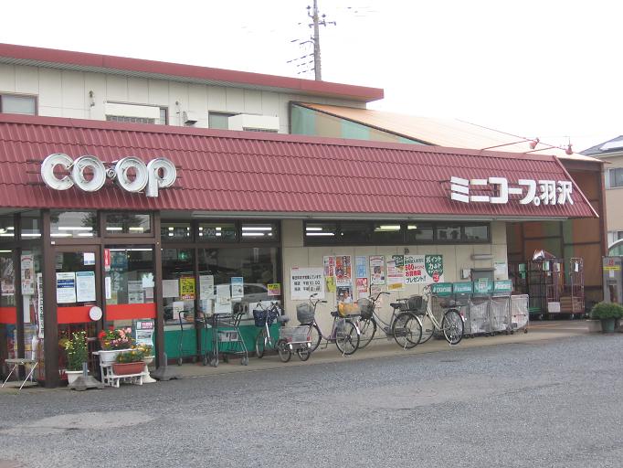 Supermarket. Minikopu Hazawa store up to (super) 200m