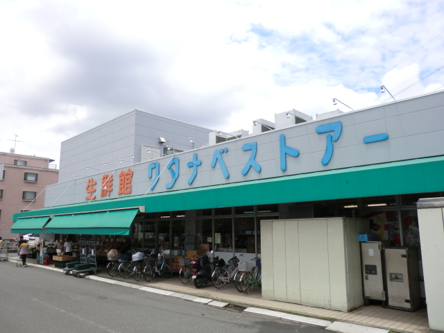 Supermarket. Fresh Museum Watanabe store Higashimizuhodai store up to (super) 471m