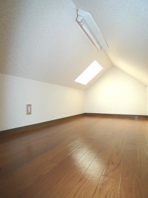 Other room space. Loft with skylights