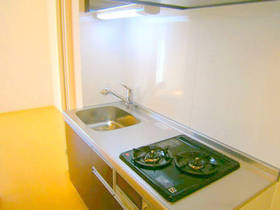 Kitchen. In two-burner stove with grill, Fun cooking