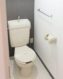 Toilet. It is clean toilets!