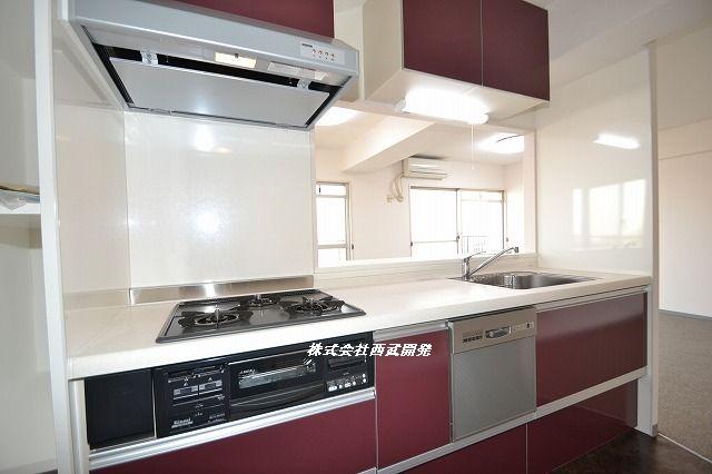 Kitchen. Indoor (11 May 2013) Shooting