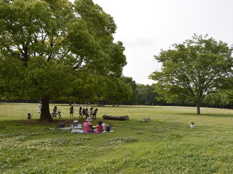 Lawn spreads Mizuko Kaizuka park (a 1-minute walk ・ About 40m)