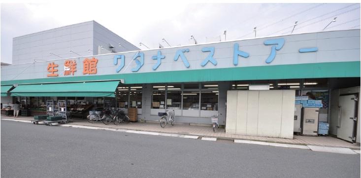 Supermarket. 800m until fresh Museum Watanabe store