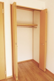 Living and room. Closet with depth.