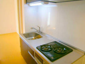 Kitchen. In two-burner stove with grill, Fun cooking
