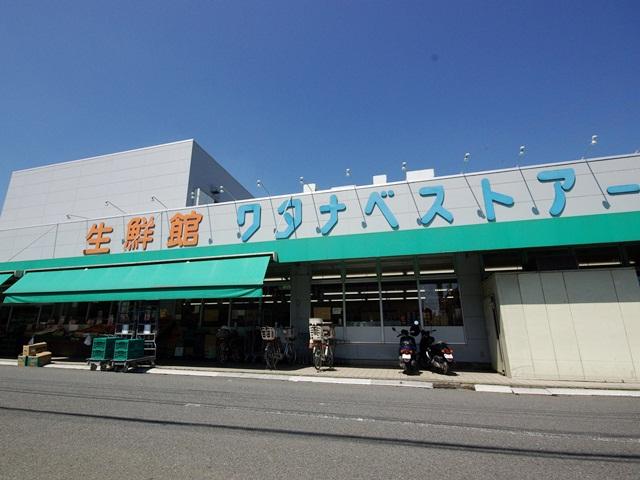 800m until fresh Museum Watanabe store