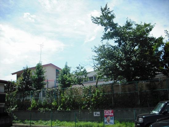 kindergarten ・ Nursery. Kobato 536m to nursery school